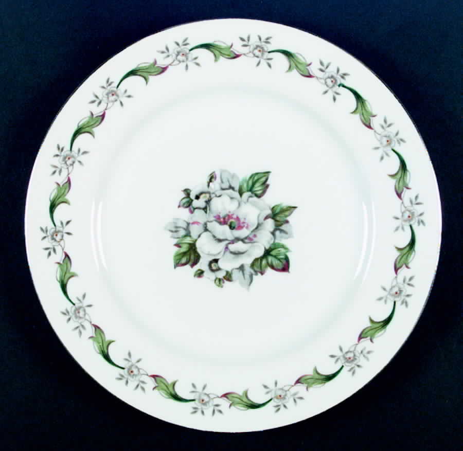 Colombia Dinner Plate by Spring China-1
