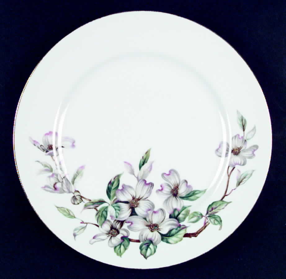 Dogwood Dinner Plate by Spring China-1
