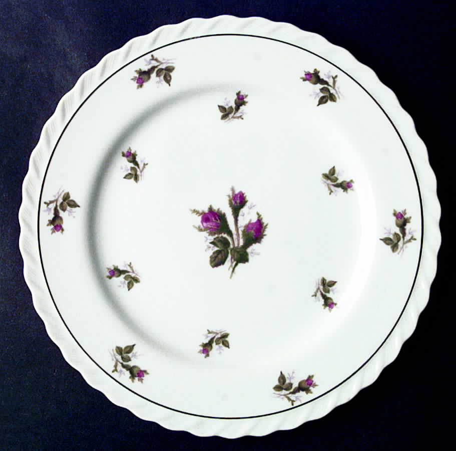 SPR1 Dinner Plate by Spring China-1