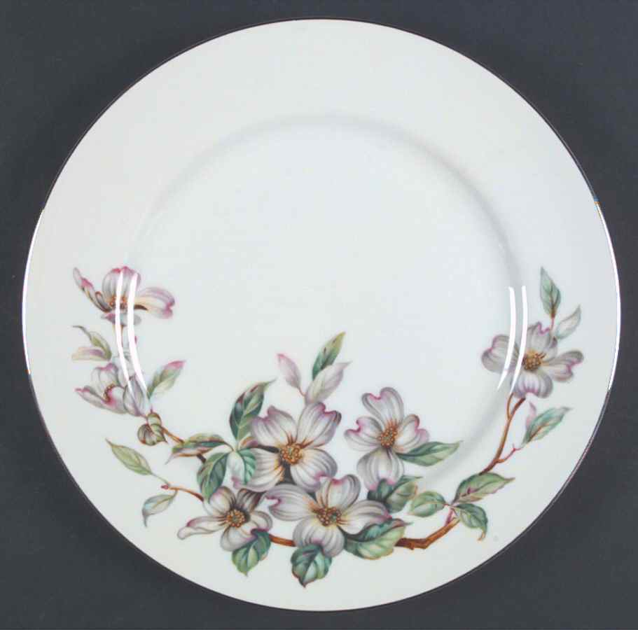 Taxco Dinner Plate by Spring China-1