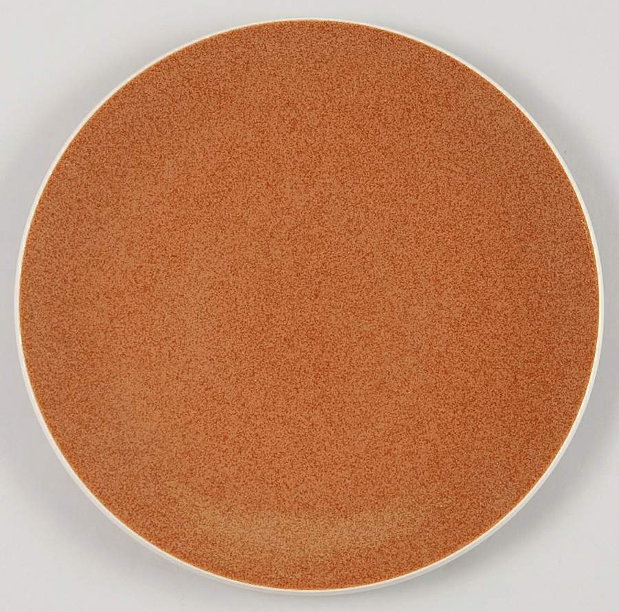 Colorstone Sienna (Textured) Dinner Plate by Sasaki-1