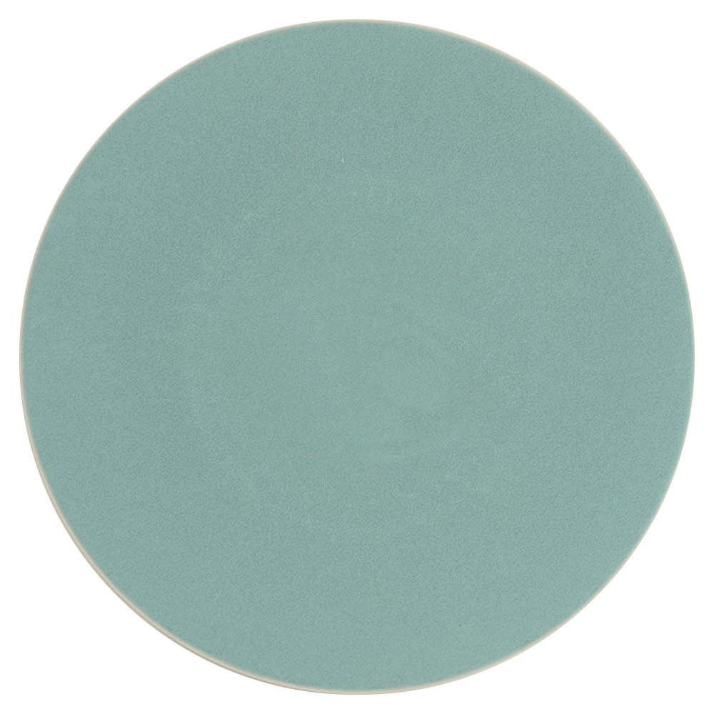 Colorstone Vert de Gris (Textured) Dinner Plate by Sasaki-1