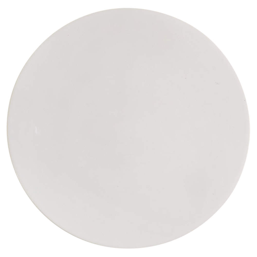 Colorstone White (Not Textured, Matte) Dinner Plate by Sasaki-1