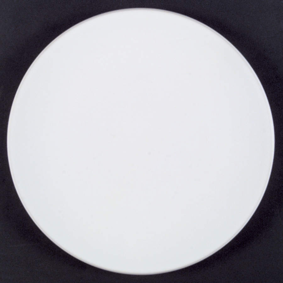 Colorstone White (Textured) Dinner Plate by Sasaki-1