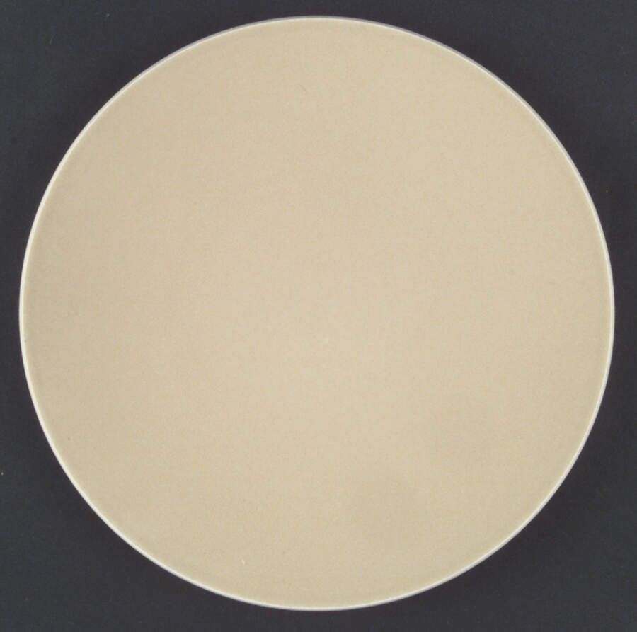 Colorstone Wheat (Textured) Dinner Plate by Sasaki-1