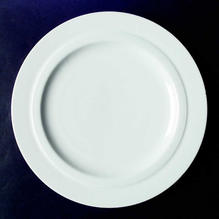 Orbit White Frost Dinner Plate by Sasaki-1