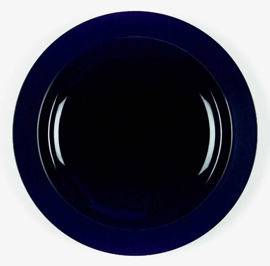 Orbit Black Dinner Plate by Sasaki-1