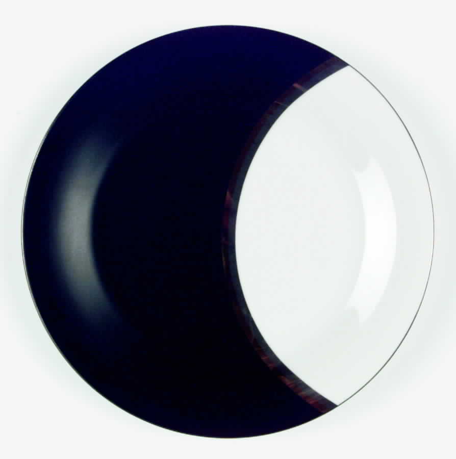 Tucano Gray Dinner Plate by Sasaki-1