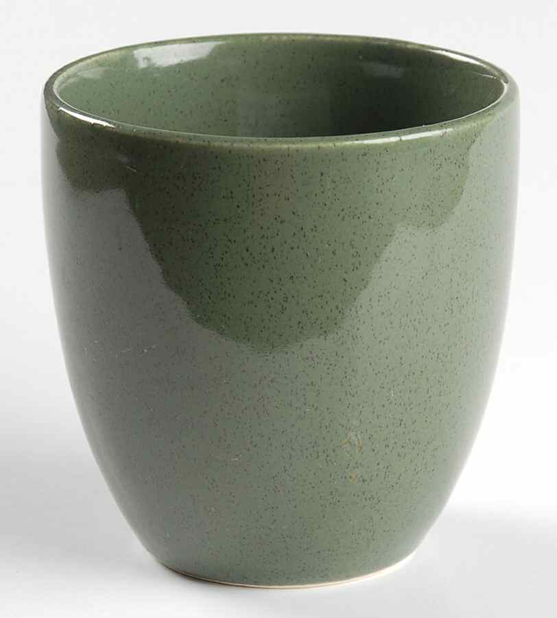 American Modern Cedar Green Tall China Tumbler by Steubenville-1