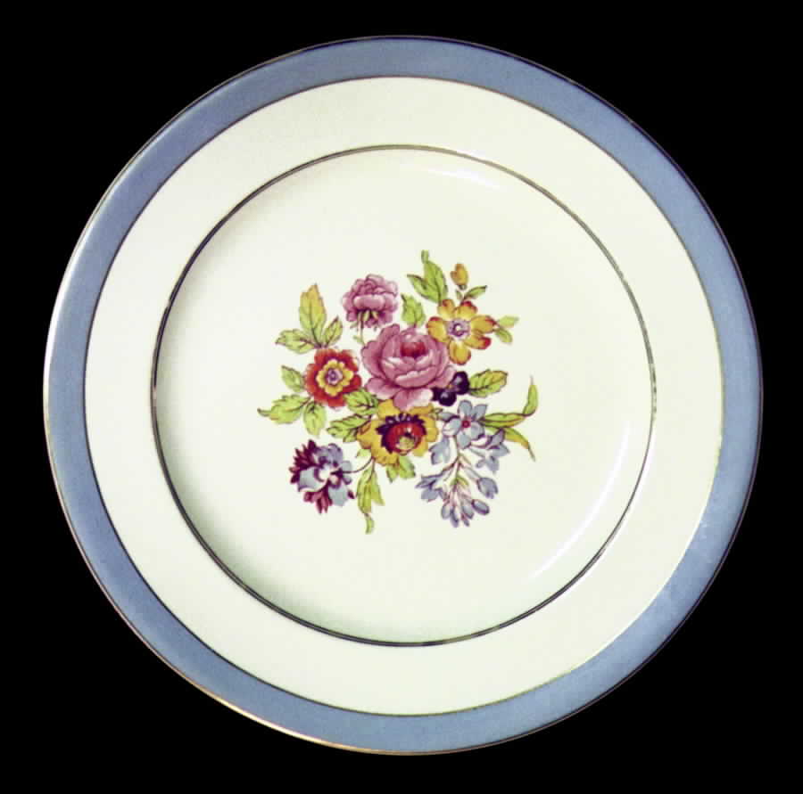 STB47 Dinner Plate by Steubenville-1