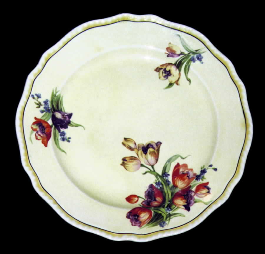STB50 Dinner Plate by Steubenville-1