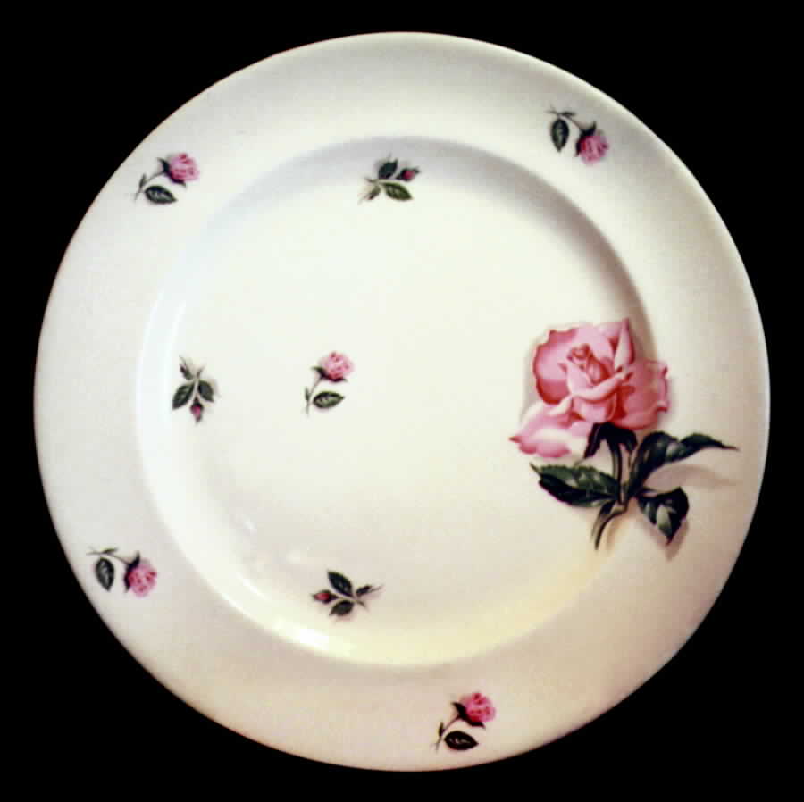 STB51 Dinner Plate by Steubenville-1