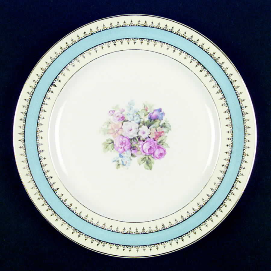 STB53 Dinner Plate by Steubenville-1