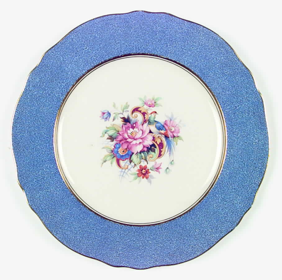 STB65 Dinner Plate by Steubenville-1