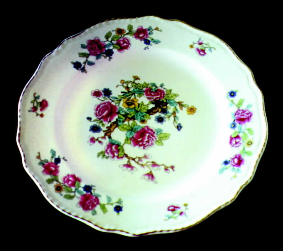STB66 Dinner Plate by Steubenville-1