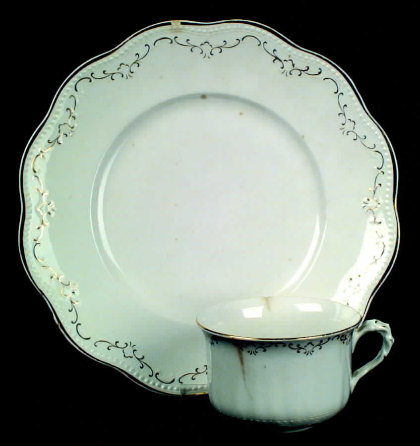 STB68 Dinner Plate by Steubenville-1