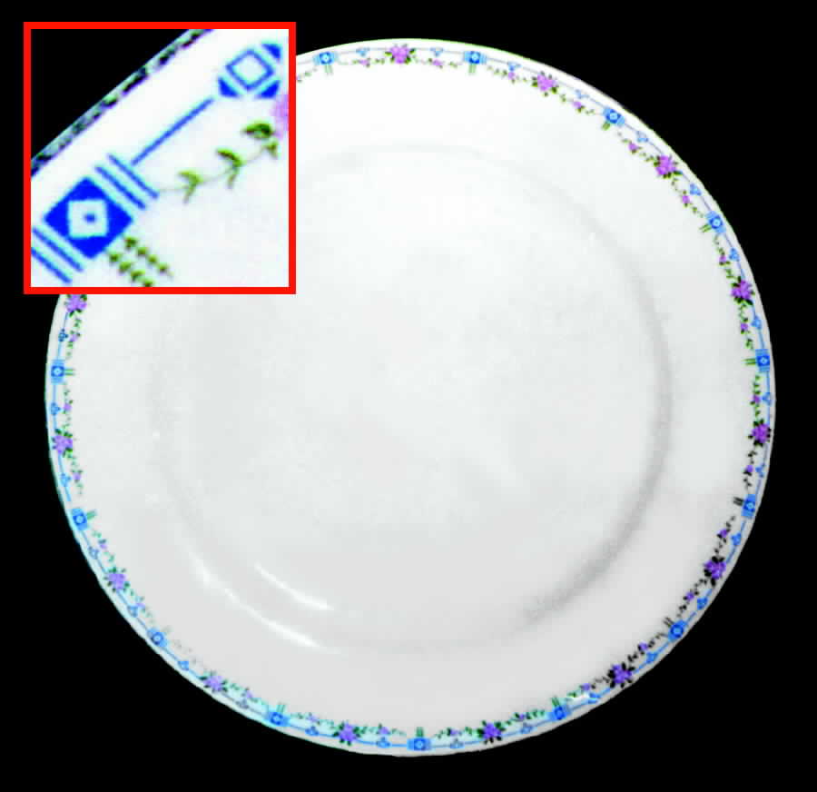 STB76 Dinner Plate by Steubenville-1