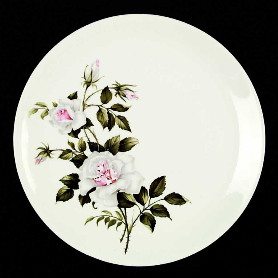 STB77 Dinner Plate by Steubenville-1
