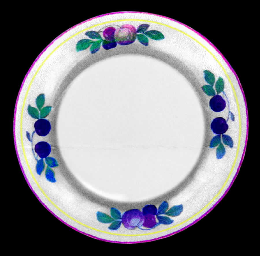 STB79 Dinner Plate by Steubenville-1