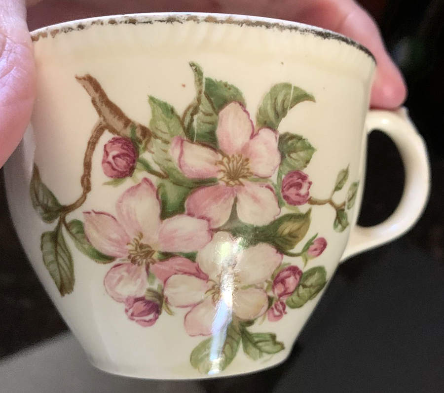 Blossomtime Red Flat Cup by Staffordshire-1