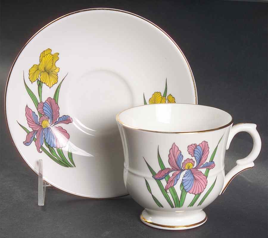 Iris Footed Cup & Saucer Set by Staffordshire-1