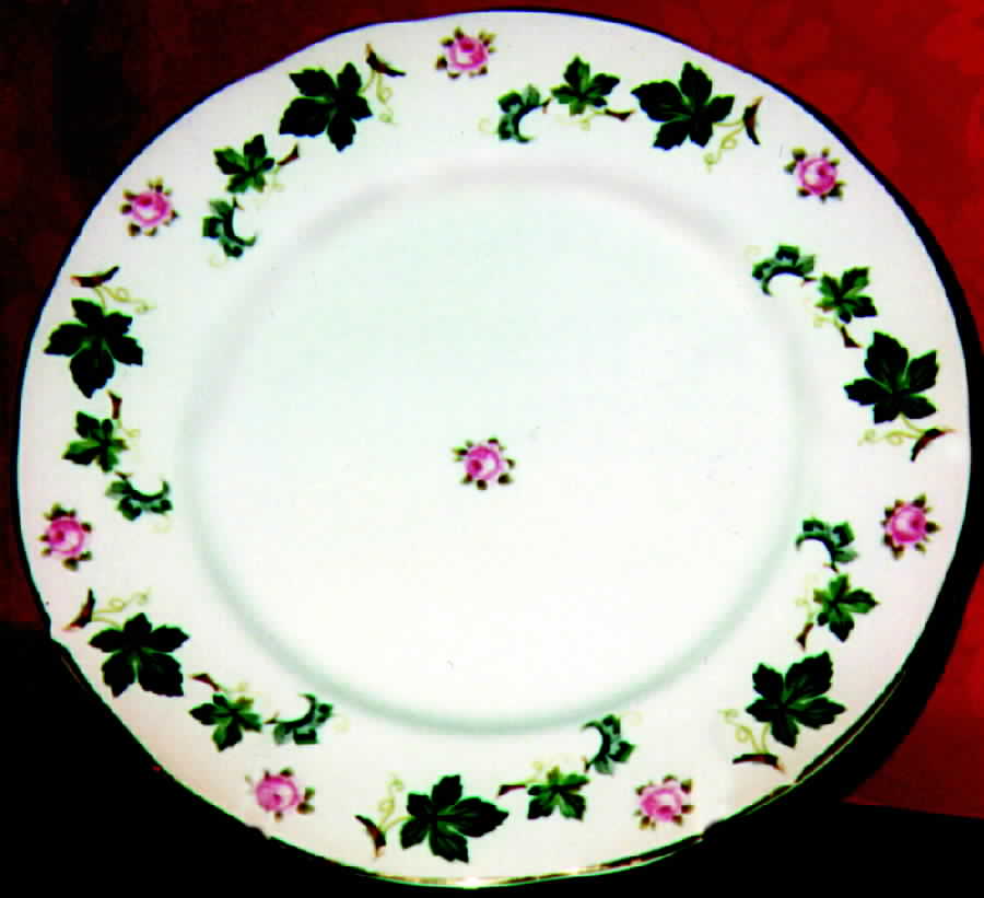 STF11 Dinner Plate by Staffordshire-1