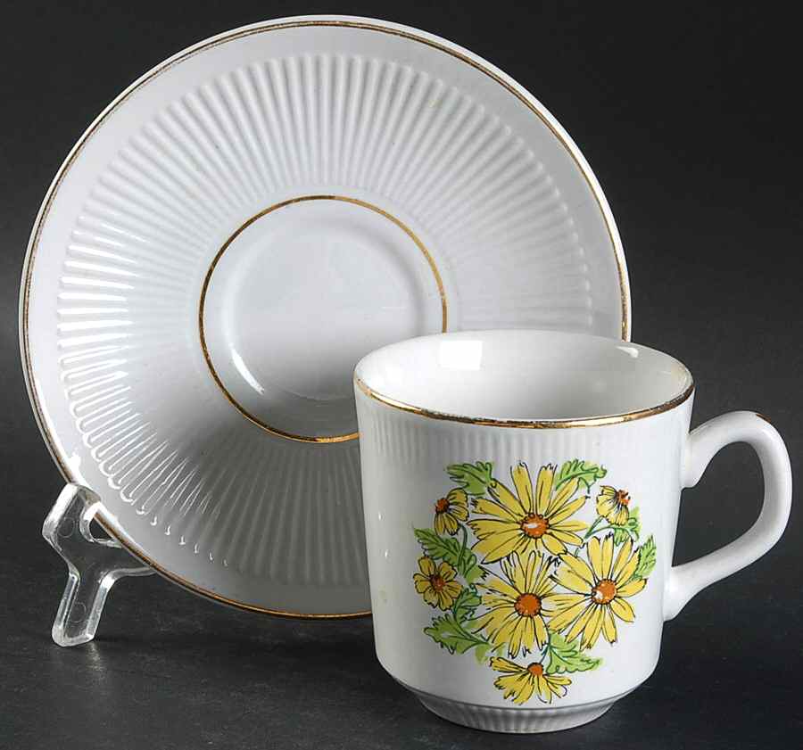 Summertime Flat Cup & Saucer Set by Staffordshire-1