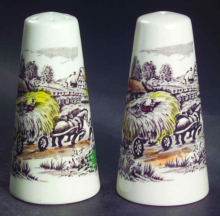 Yorkshire Multicolor Salt & Pepper Set by Staffordshire-1