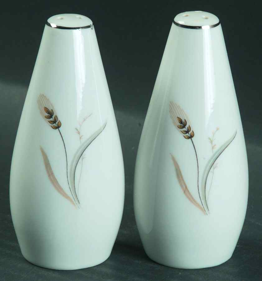 Simplicity Salt & Pepper Set by Style House-1