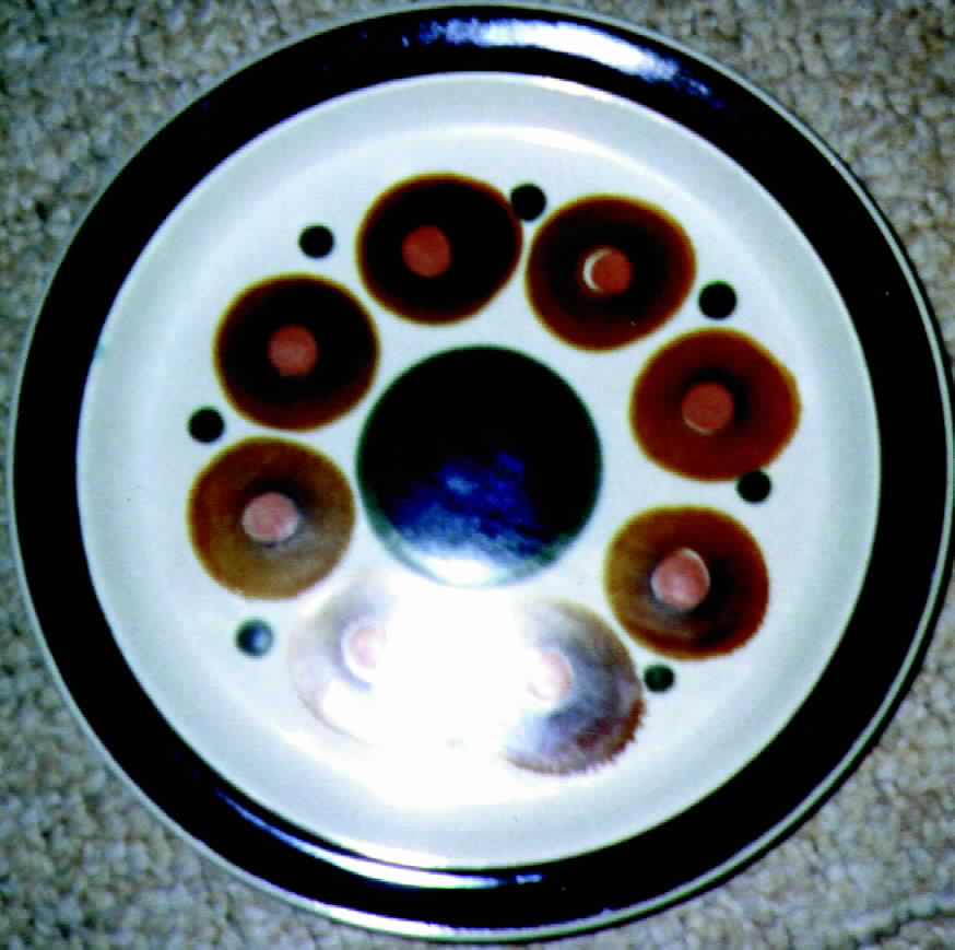 STH2 Dinner Plate by Style House-1