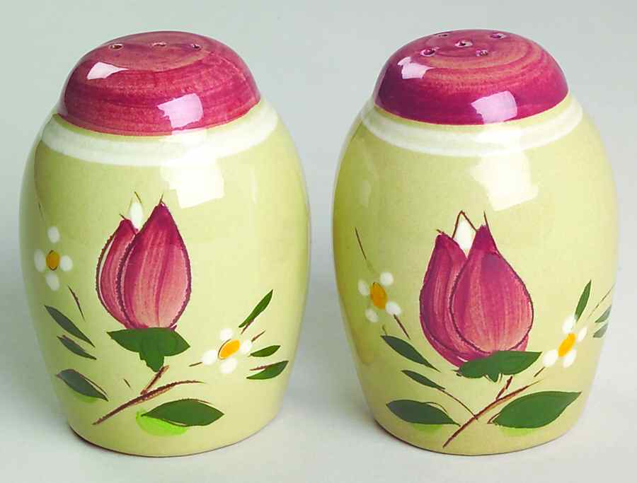 Magnolia Salt & Pepper Set by Stangl-1