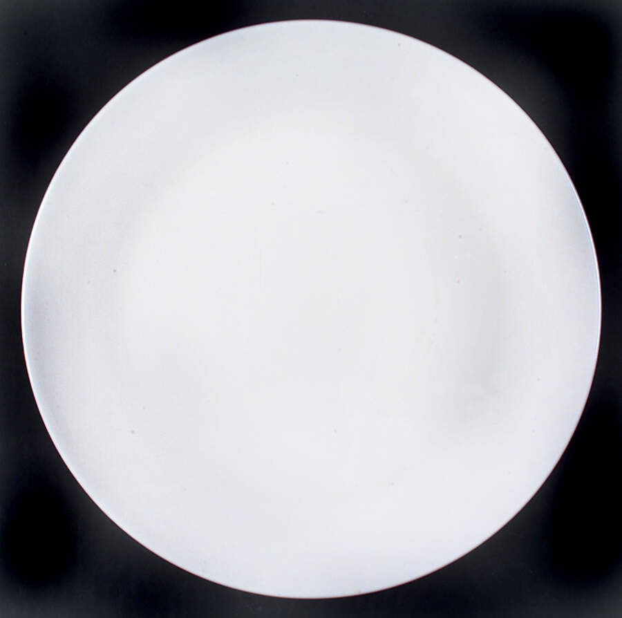 STR2 Dinner Plate by Sterling China (USA)-1