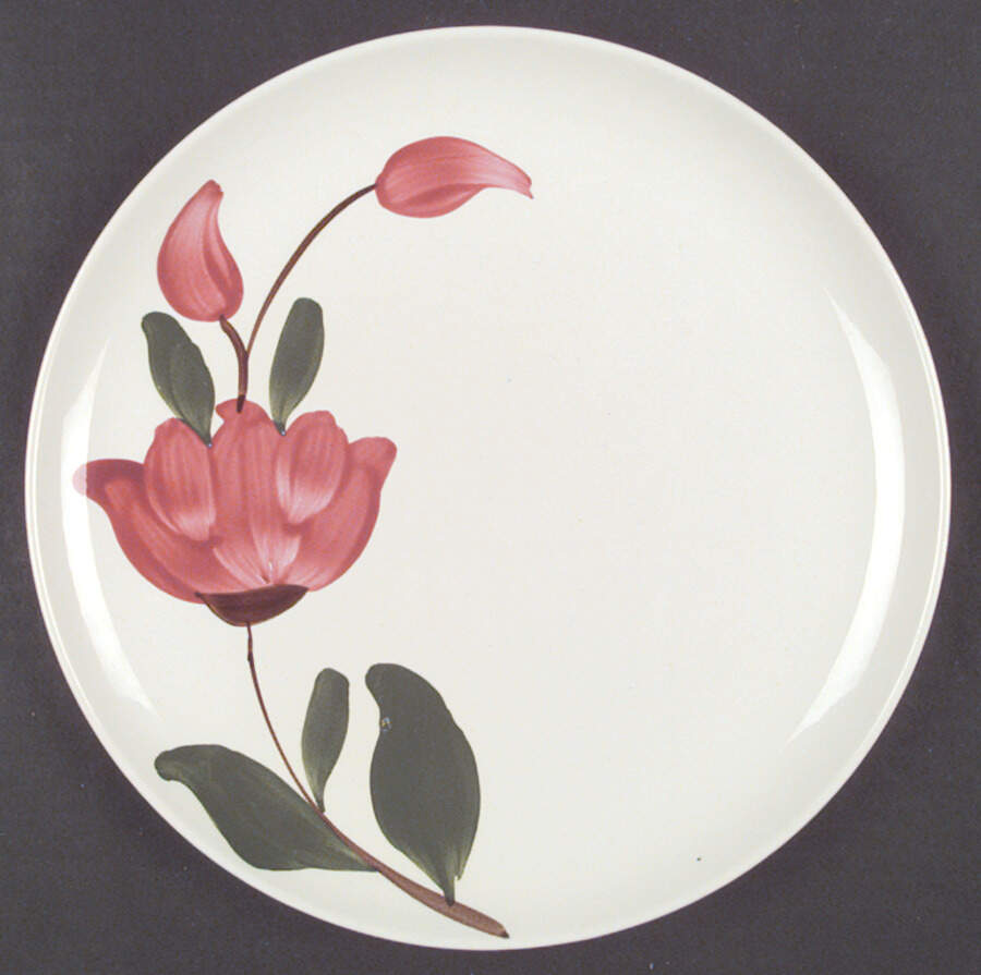 STT37 Dinner Plate by Stetson-1