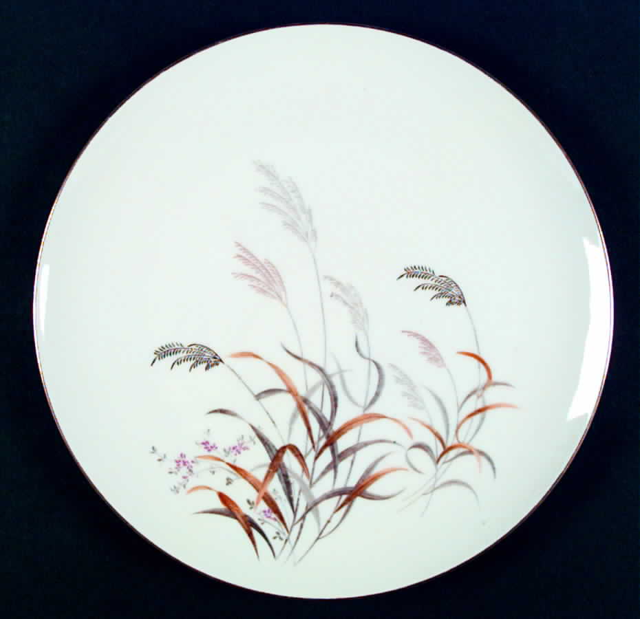 SUM1 Dinner Plate by Summit-1
