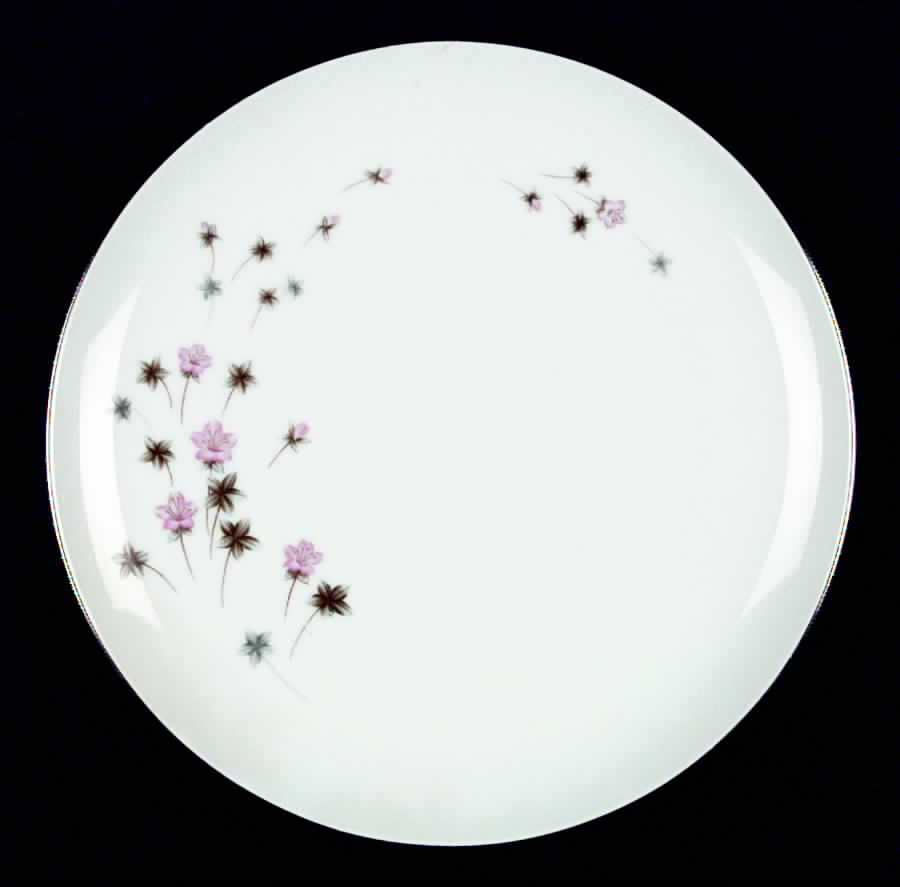 SUM10 Dinner Plate by Summit-1