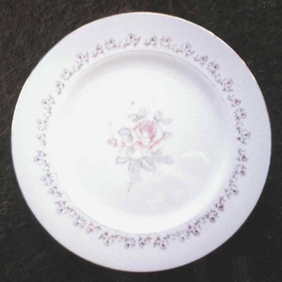 SUM7 Dinner Plate by Summit-1