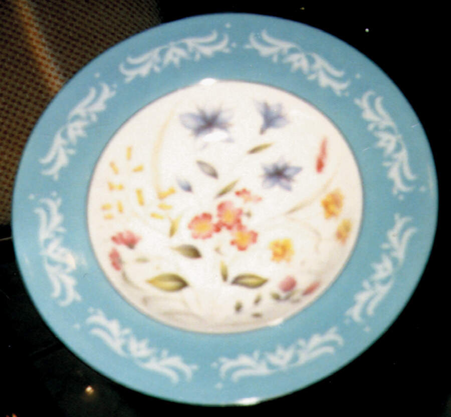 SUT3 Dinner Plate by Sutherland-1