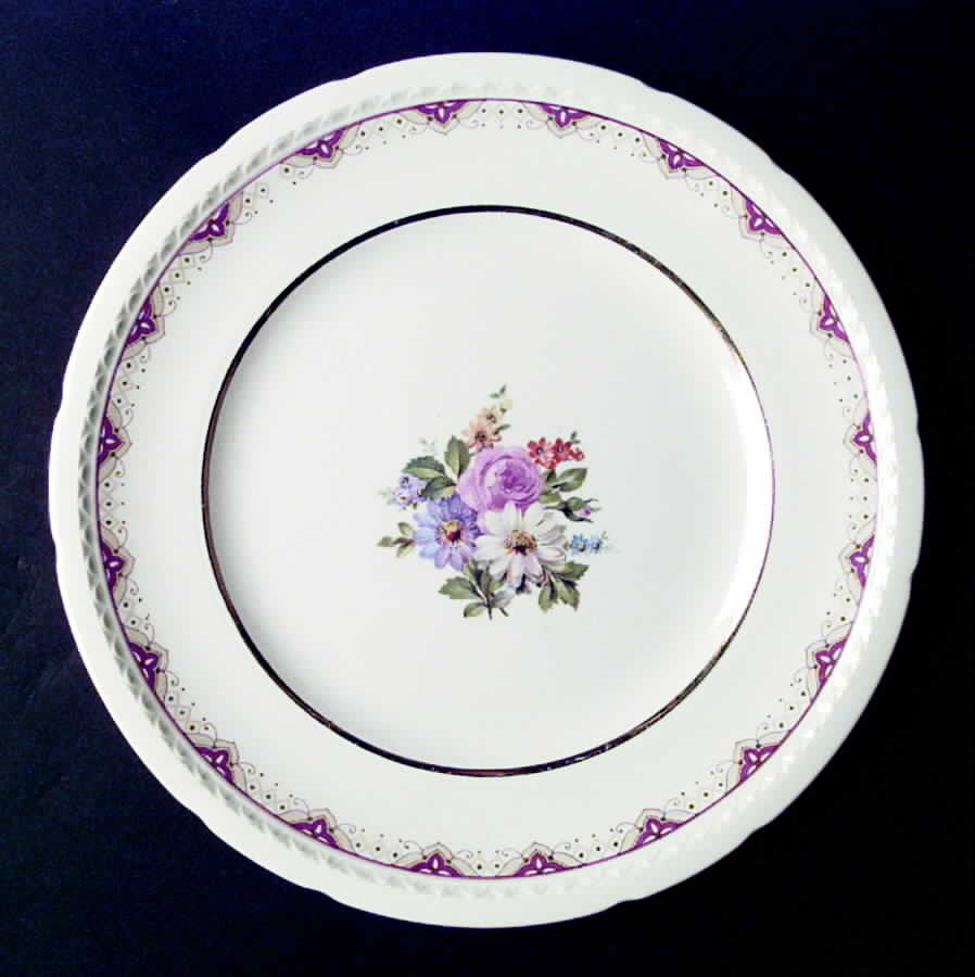 SWI10 Dinner Plate by Swinnertons-1