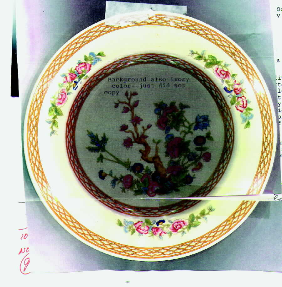 SWI12 Bread & Butter Plate by Swinnertons-1