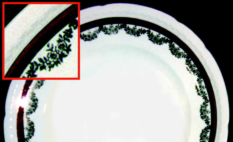 SWI16 Dinner Plate by Swinnertons-1