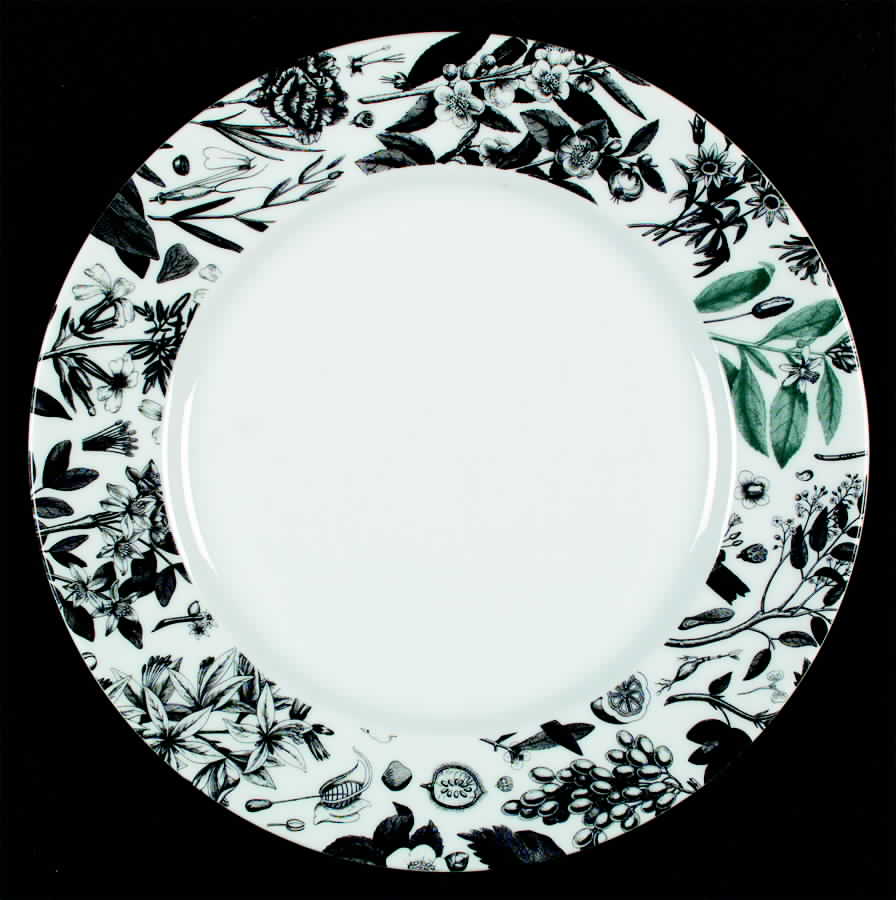 Garden Dinner Plate by Swid Powell-1