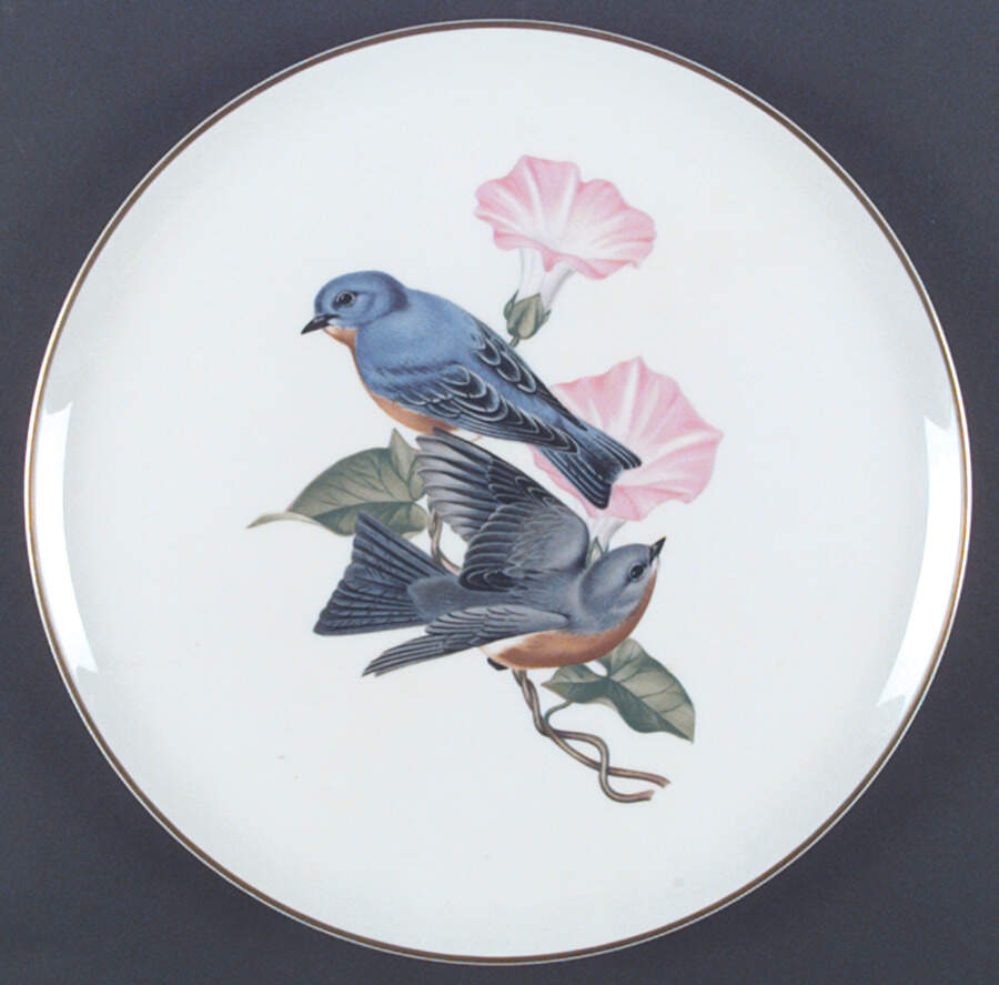 American Song Birds Series Dinner Plate by Syracuse-1