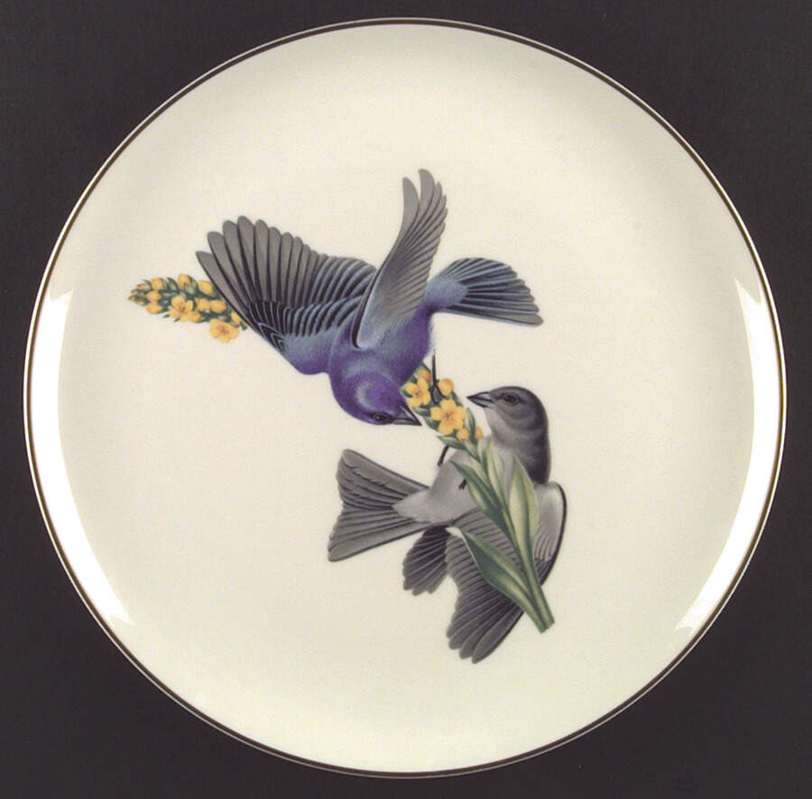 American Song Birds Series Dinner Plate by Syracuse-1