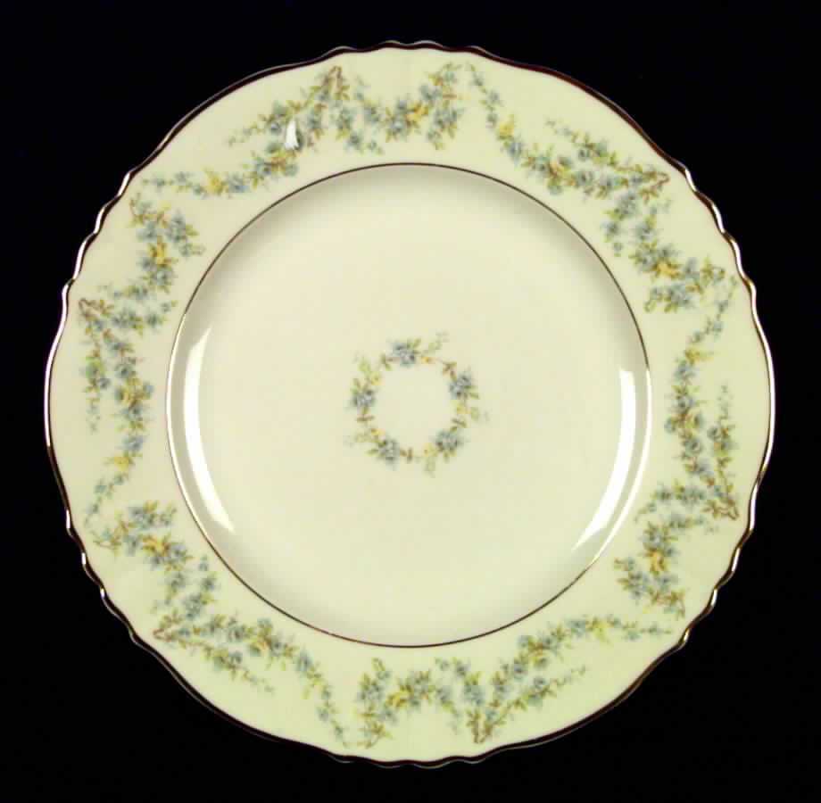 Appleton Large Dinner Plate by Syracuse-1