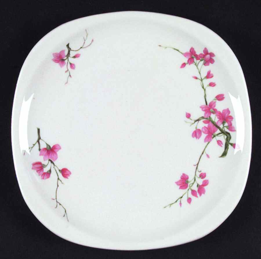 Berkeley (Restaurant) Salad Plate by Syracuse-1