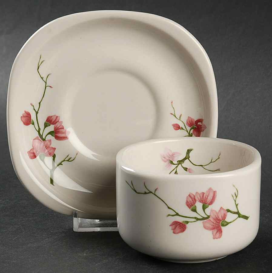 Berkeley (Restaurant) Flat No Handles Cup & Saucer Set by Syracuse-1