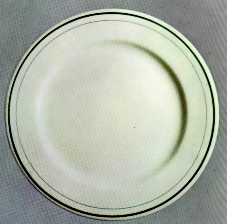 Green Mohawk Dinner Plate by Syracuse-1