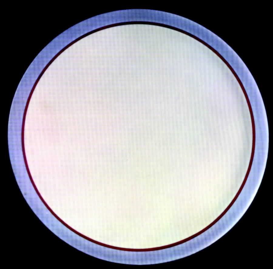 Highland Dinner Plate by Syracuse-1