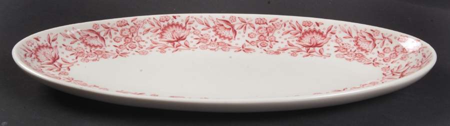 Mayflower Red Celery by Syracuse-1