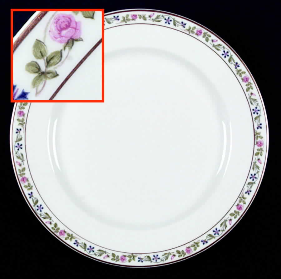 Melrose Dinner Plate by Syracuse-1